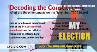 Amendments: Your Vote's Impact Explained