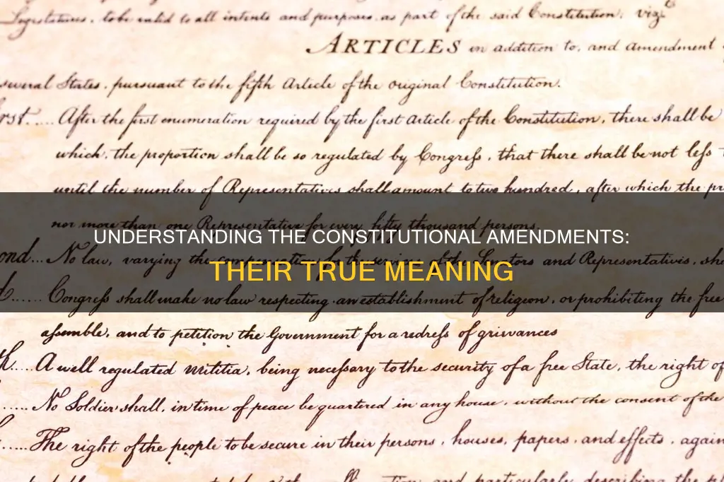 what do the constitutional amendments really mean