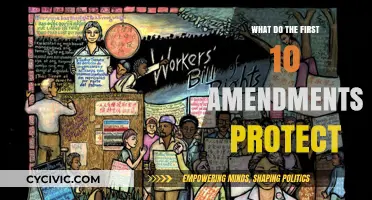 Amendments: Our Rights and Freedoms