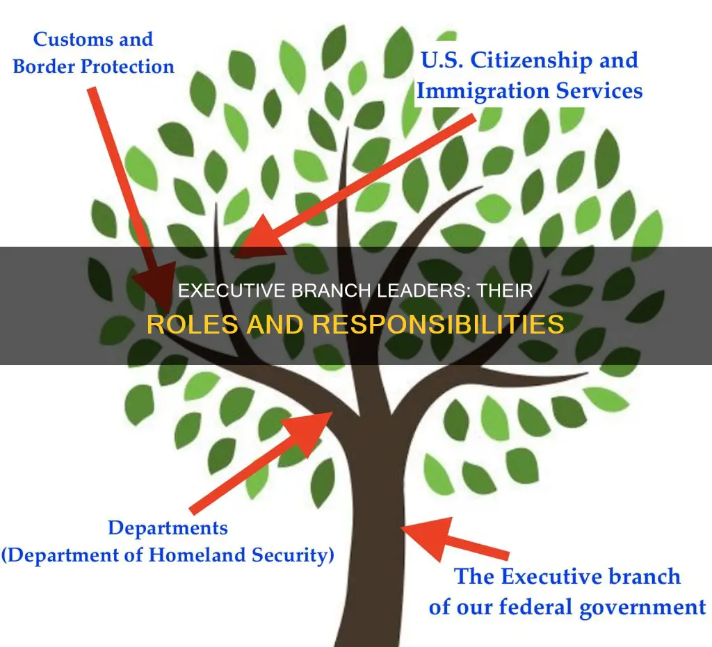 what do the leaders of the executive branch do