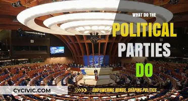 Understanding Political Parties: Roles, Functions, and Impact on Governance