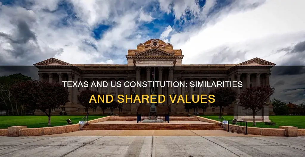 what do the texas and us constitution have in common