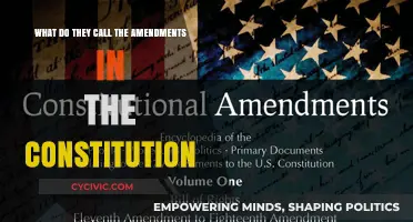 Amendments: The Constitution's Living Evolution