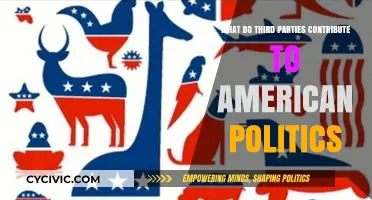 Third Parties' Impact: Shaping American Politics Beyond the Two-Party System
