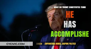 Trump Supporters: His Achievements and Their Perceptions