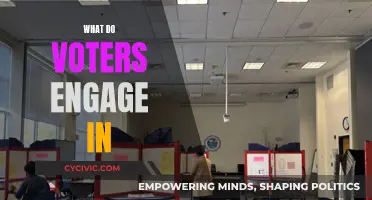 The Voter's Behavior: Engagement and Beyond