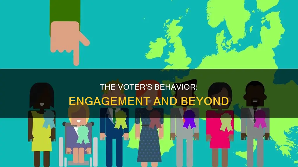 what do voters engage in