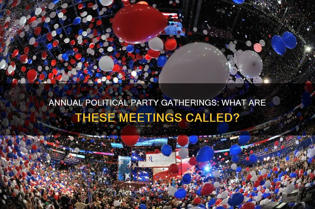 what do we call the annual meeting of political parties
