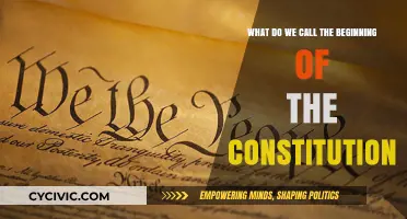 The Constitution's Opening: A Foundation for Freedom