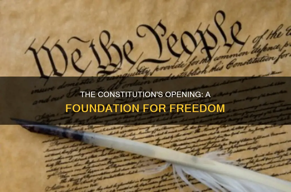 what do we call the beginning of the constitution