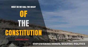 The Constitution's Decay: A Historical Perspective