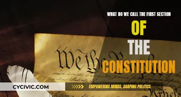 The Constitution's First Section: A Founding Pillar
