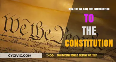 The Constitution's Introduction: A Foundation for Freedom