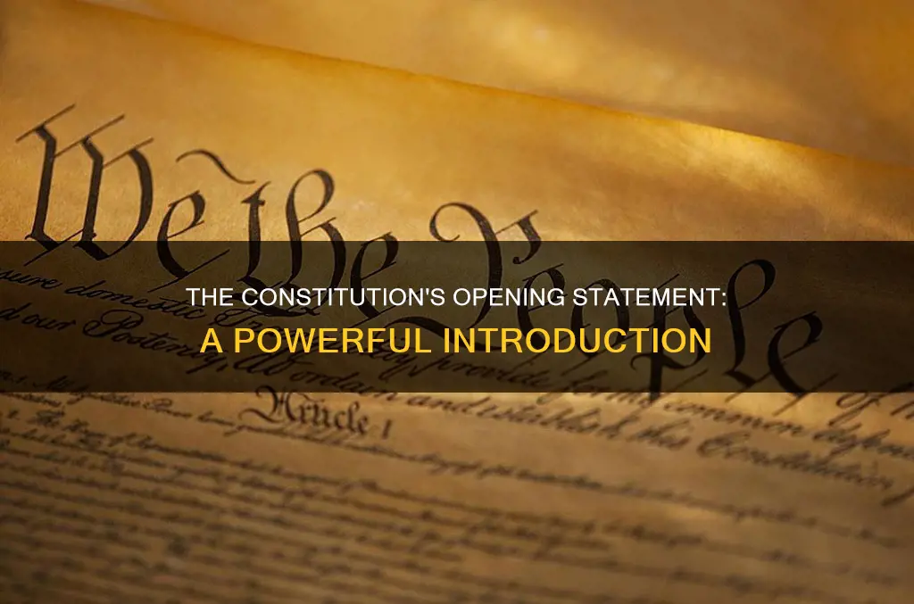 what do we call the opening statement of the constitution