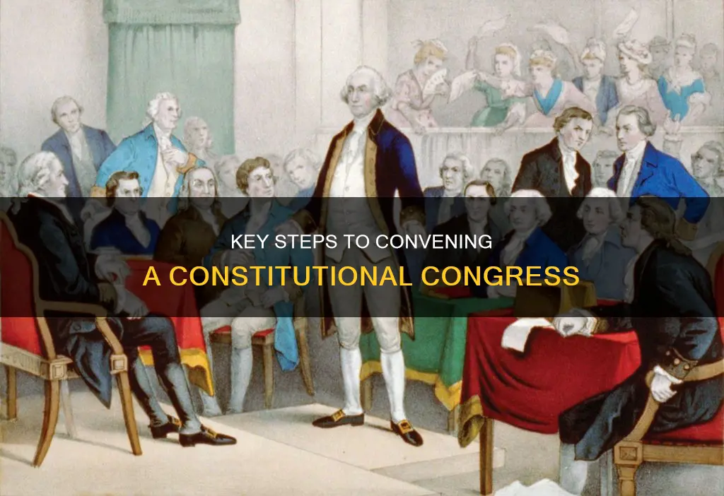 what do we need to hold a constitutional congress