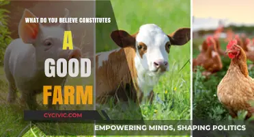 Attributes of a Successful Farm