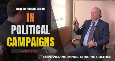 Political Campaign Rivalries: Naming the Adversarial Relationship
