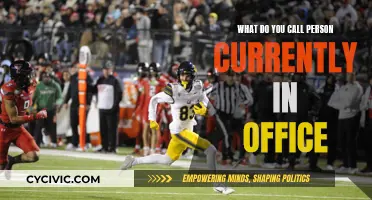 Understanding Current Political Roles and Their Titles