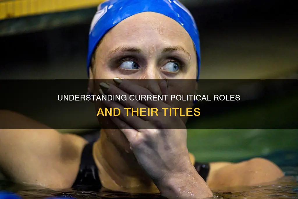 what do you call person currently in office