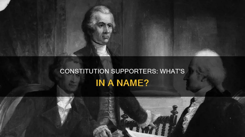 what do you call someone who supports the new constitution