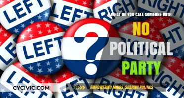 Independent Voters: Understanding Those Without Political Party Affiliation
