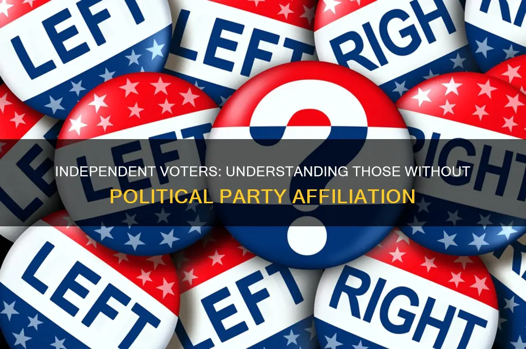 what do you call someone with no political party