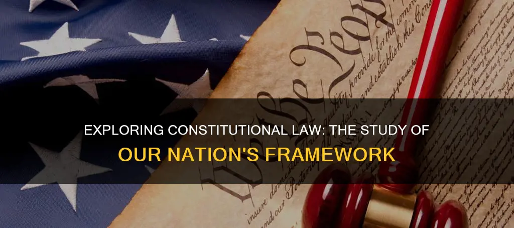 what do you call the study of the constitution