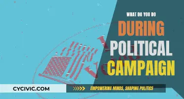 Campaign Strategies: Effective Actions for Political Victory
