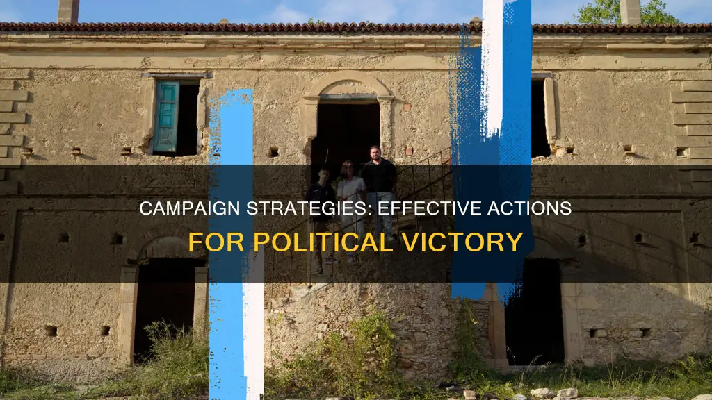 what do you do during political campaign