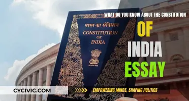The Indian Constitution: Understanding Its Essence