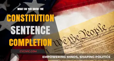 The Constitution: Understanding Our Founding Document