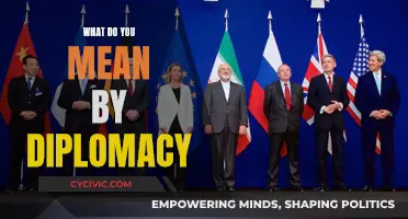 The Art of Diplomacy: Navigating International Relations