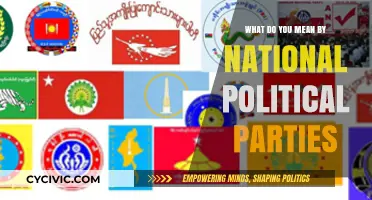 Understanding National Political Parties: Definition, Role, and Significance Explained