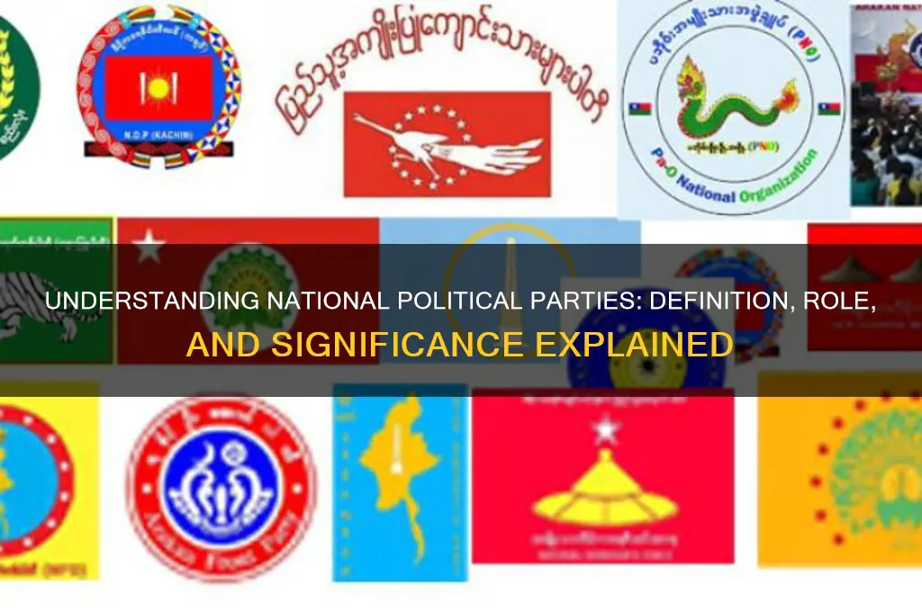 what do you mean by national political parties