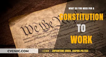Key Elements for a Working Constitution