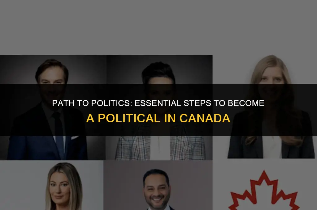 what do you need to become a political in canada