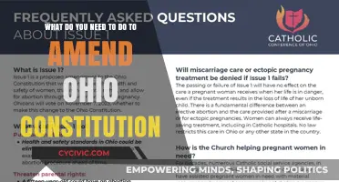 Amending Ohio's Constitution: Steps to Change the Law
