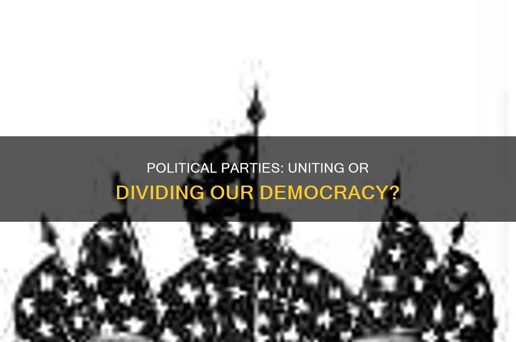what do you think about political parties