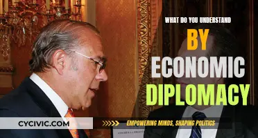 Economic Diplomacy: Navigating Trade and Foreign Policy