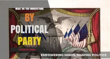 Understanding Political Parties: Their Role, Structure, and Influence in Democracy