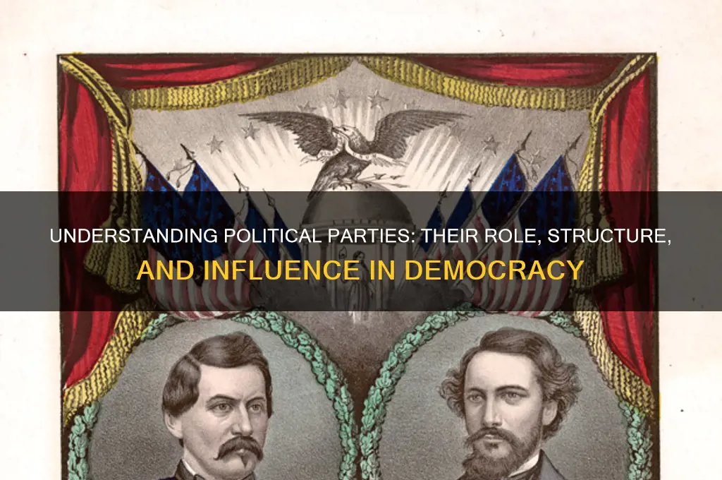 what do you understand by political party