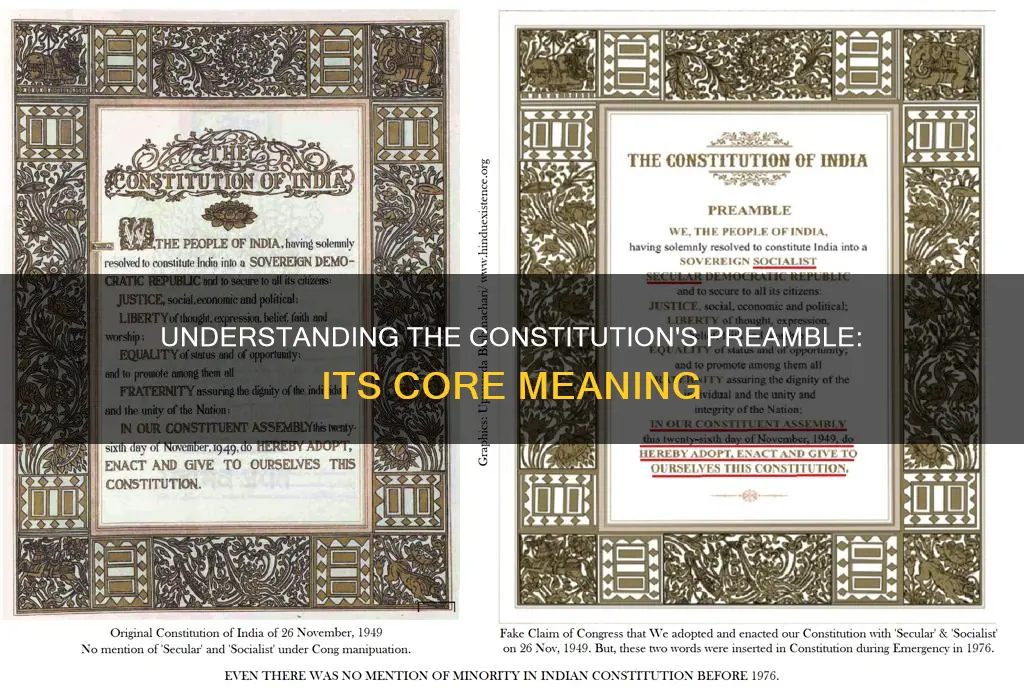 what do you understand by the preamble of constitution