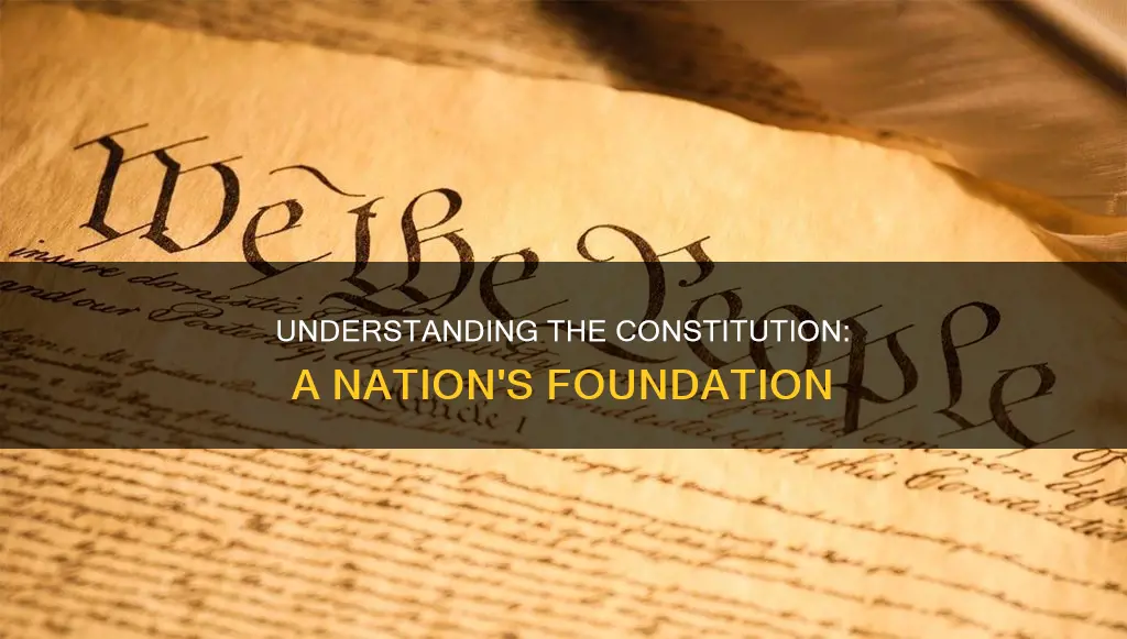 what do you understand by the term constitution