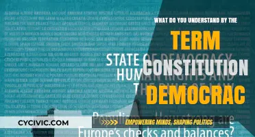 Understanding Constitutional Democracy: Power, Liberty, and Law