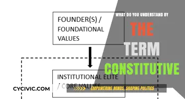 Understanding Constitutive: The Basics Explained