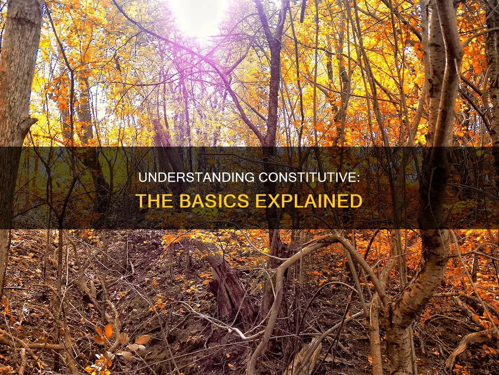 what do you understand by the term constitutive