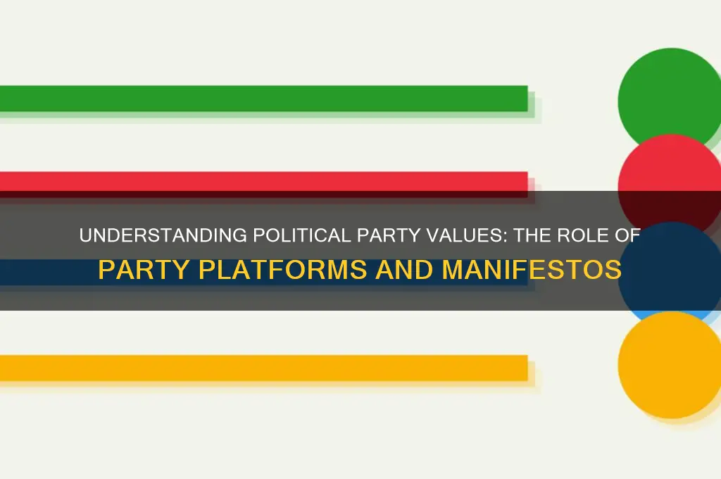 what document describes a political parties values