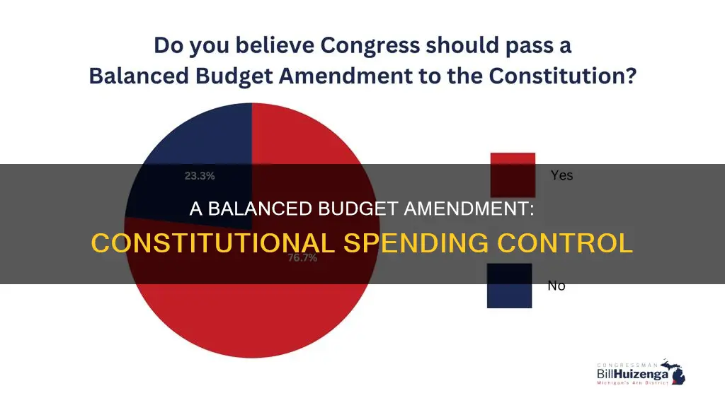 what does a balanced budget amendment to the constitution mean