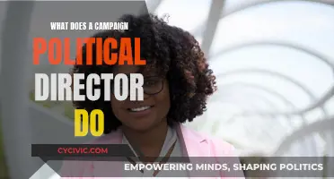 The Role of Political Directors in Campaigns