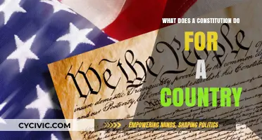 The Power of a Constitution: Shaping a Nation's Destiny